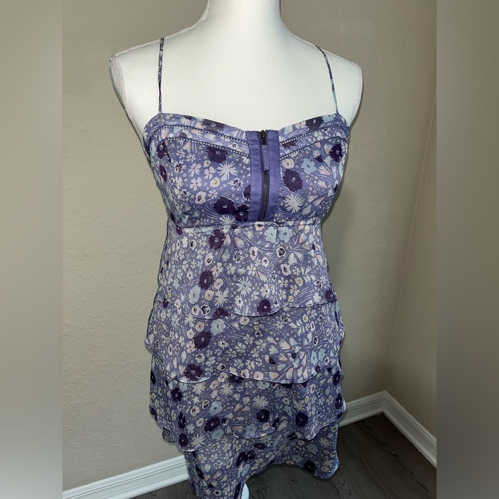 American Eagle Outfitters Floral Chiffon Ruffle Dress